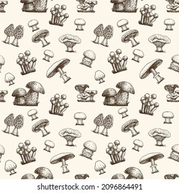 Seamless pattern with sketch mushrooms. Different hand drawn Mushrooms. Sketch food drawing isolated on white background. Organic vegetarian product. Great for menu, label, packaging, recipe. Vector