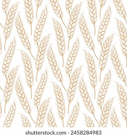 Seamless pattern sketch of ripe spikelets vector graphics. Field of ears of grain crops background, vintage graphic. Golden stalks of wheat, rye, barley or millet, hand drawn print for packaging