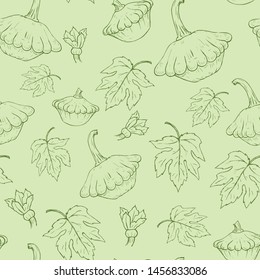 Seamless pattern, sketch of squash on a green background.