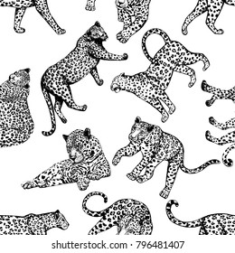 Seamless pattern of sketch style leopards. Vector illustration isolated on white background.