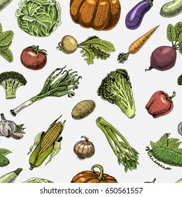 Seamless pattern with sketch of vegetables and spices. hand drawn, engraved vegetarian food.