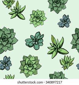 Seamless pattern with sketched succulent plants in color