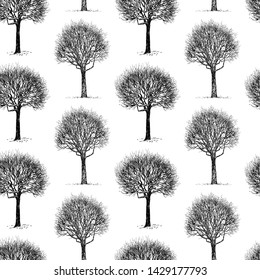 Seamless pattern of sketches of deciduous trees in winter