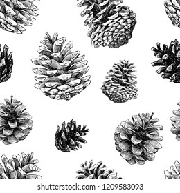 Seamless pattern of sketches of fir cones