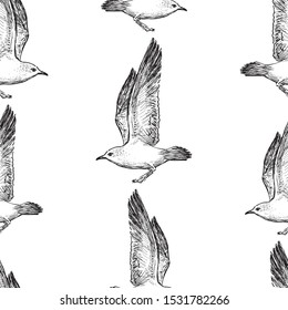 Seamless pattern of sketches of flying sea gulls