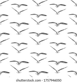 Seamless pattern of sketches flying seagulls