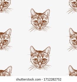 Seamless pattern of sketches head small domestic kitten 