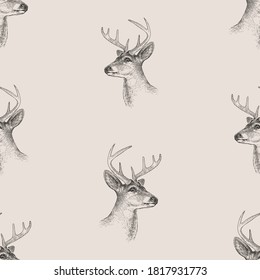 Seamless pattern of sketches heads of young deer