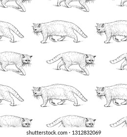 Seamless pattern of sketches of old strolling cats 