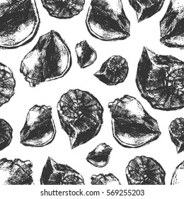 Seamless pattern of sketches of sea shells on a white background. Vector.