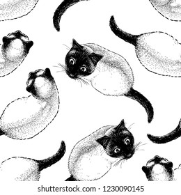 Seamless pattern of sketches of siamese cats