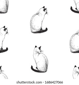 Seamless pattern of sketches sitting siamese cats