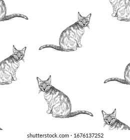 Seamless pattern of sketches small kittens sitting and looking