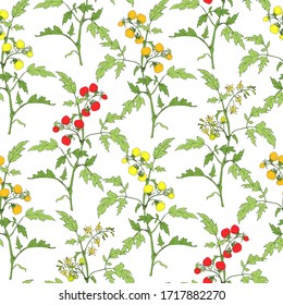 Seamless pattern of sketches with  tomatoes branch isolated on white background. Ideal for the design of fabrics, packaging materials, organic farm products. Vector