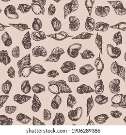 Seamless pattern of sketches various seashells