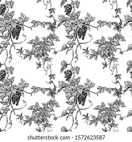 Seamless pattern of sketches vine branches with ripe grape bunches