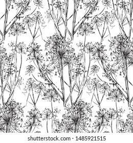 Seamless pattern of sketches of wild umbellate flowers