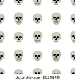 Seamless pattern with skull isolated on white background. Cartoon human skull with jaw. Vector illustration for design, web, wrapping paper, fabric.