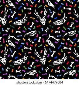 Seamless pattern. Skulls and bones on a black background. Anatomy of magical creatures. For greeting cards, invitations, for printing on T-shirts and more. Happy Halloween!