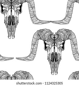 Seamless pattern with skulls. Skull of ram with large horns. Male, rough pattern. Meditative pattern. Dots, stripes, wool.