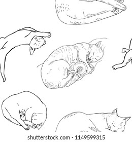 Seamless pattern with sleeping cats, monochrome, line graphics.

