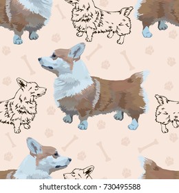 Seamless pattern with a small cute dog, Pembroke Welsh Corgi, tracks and bones.