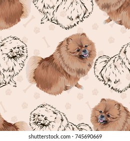 Seamless pattern with a small cute dog, Pomeranian Spitz, tracks and bones.