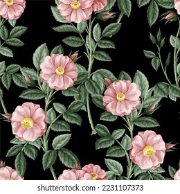 Seamless pattern with small pink roses. Vector