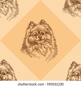 Seamless pattern with small Pomeranian on orange geometric background
