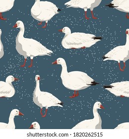 Seamless pattern with snow geese and snowfall. White arctic goose Anser caerulescens. Birds of the North, inhabiting Greenland, Alaska, Canada, Siberia and the Arctic. Vector illustration