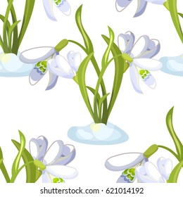 Seamless pattern snowdrop flowers  blossomed with leaves Vector illustration