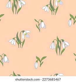 Seamless pattern with snowdrop flowers on a beige background. Vector graphics.