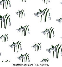 Seamless pattern with snowdrops. Endless pattern with spring flowers on white background for your season design