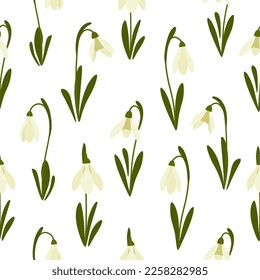 Seamless pattern Snowdrops flower on spring white background. Print for your design. Vector Illustration.
