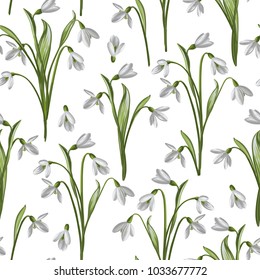 Seamless pattern of snowdrops on a white background. 