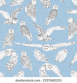 Seamless pattern with snowy owl Bubo scandiacus in different poses. Male and female Arctic owls sit and fly. Realistic vector birds of the North.