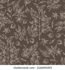 Seamless pattern with solanum indicum: brihati plant, leaves, solanum indicum flowers and solanum indicum berries. Brihati. Cosmetic, perfumery and medical plant. Vector hand drawn illustration.