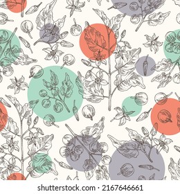 Seamless pattern with solanum indicum: brihati plant, leaves, solanum indicum flowers and solanum indicum berries. Brihati. Cosmetic, perfumery and medical plant. Vector hand drawn illustration.