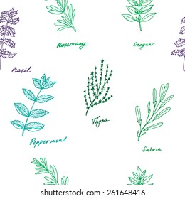 Seamless pattern of some provence herbs: basil, rosemary, oregano, thyme, peppermint, salvia