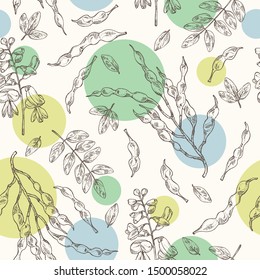 Seamless pattern with sophora japonica: branch, flower and pod of sophora japonica. Cosmetic and medical plant. Vector hand drawn illustration.