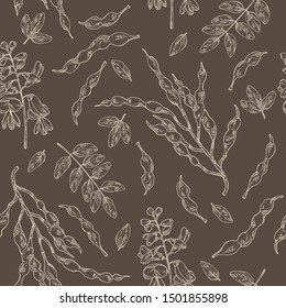 Seamless pattern with sophora japonica: branch, flower and pod of sophora japonica. Cosmetic and medical plant. Vector hand drawn illustration.