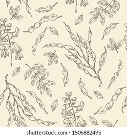 Seamless pattern with sophora japonica: branch, flower and pod of sophora japonica. Cosmetic and medical plant. Vector hand drawn illustration.