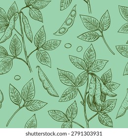 Seamless pattern with soy plants and beans in engraving style. Detailed hand-drawn vector illustration