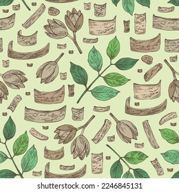 Seamless pattern with soymida febrifuga: plant, fruits, leaves and soymida febrifuga bark. Swietenia febrifuga. Cosmetic, perfumery and medical plant. Vector hand drawn illustration