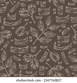 Patrón sin foco con soymida febrifuga: planta, frutas, hojas y soymida febrifuga ladrido. Swietenia febrifuga. Cosmética, perfumería y planta médica. Ilustración dibujada a mano por el vector