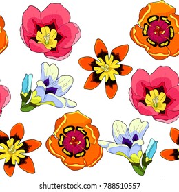 seamless pattern  sparakis is flower exotic  vector illustration