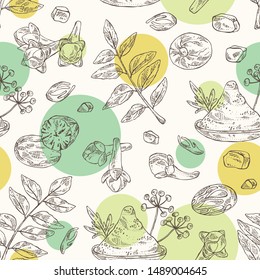 Seamless pattern with spices and herbs: clove tree, nutmeg, curry tree leaves and asafoetida. Vector hand drawn illustration.