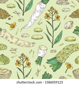 Seamless pattern with spices and herbs: wasabi root, daikon root, mustard, horsradiah. Vector hand drawn illustration.