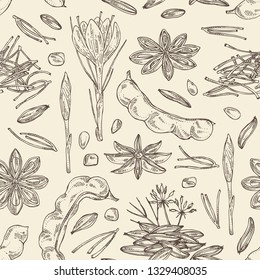 Seamless pattern with spices: tamarindus indica, zira, cumin, badyan, star anise and saffron . Vector hand drawn illustration.