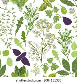 Seamless pattern with spicy herbs on white. Color vector illustration. Perfect for design templates, wallpaper, wrapping, fabric and textile.